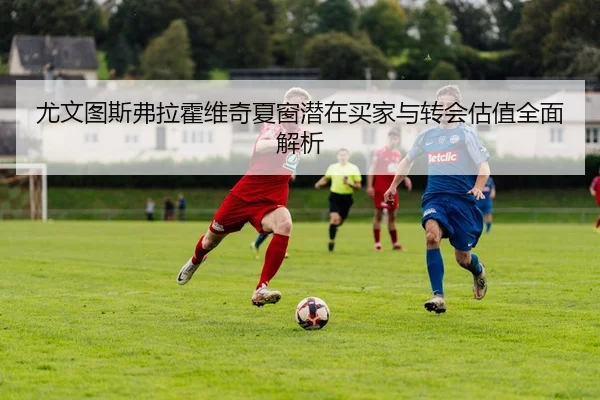 尤文图斯弗拉霍维奇夏窗潜在买家与转会估值全面解析