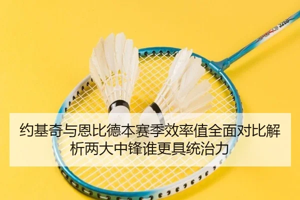 约基奇与恩比德本赛季效率值全面对比解析两大中锋谁更具统治力