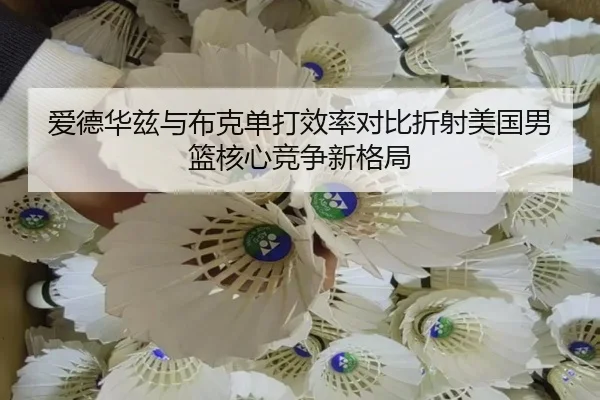 爱德华兹与布克单打效率对比折射美国男篮核心竞争新格局